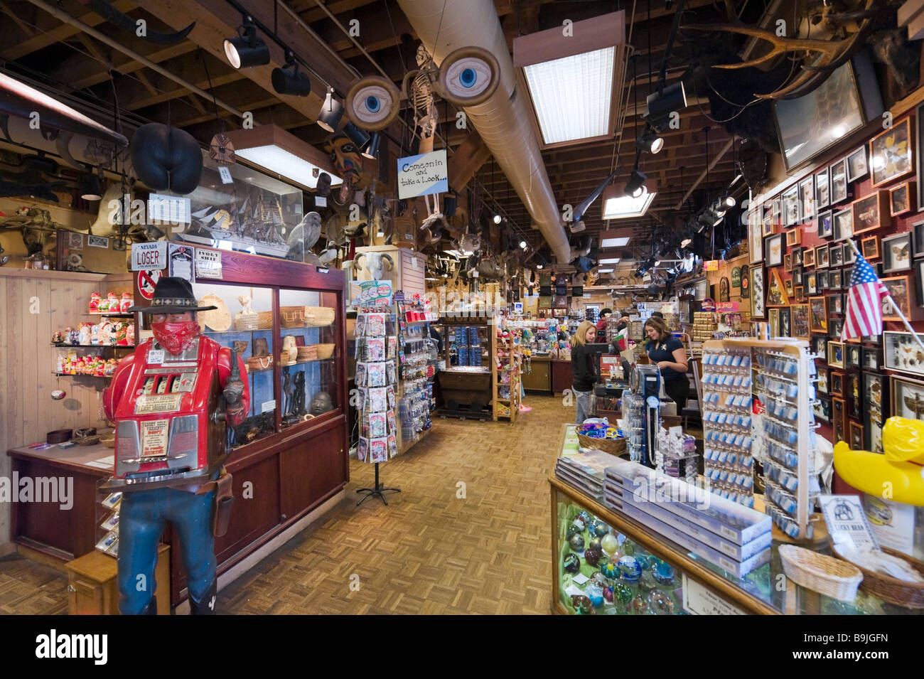 Interior of Ye Olde Curiosity Shop, Alaskan Way, downtown Seattle, Washington, USA Stock Photo