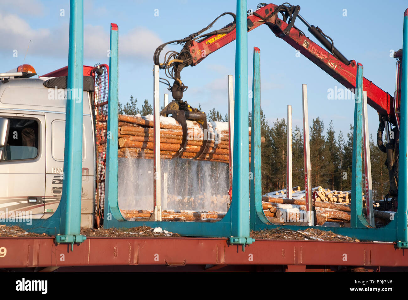 Log truck driver using truck crane and loading logs to cargo log train