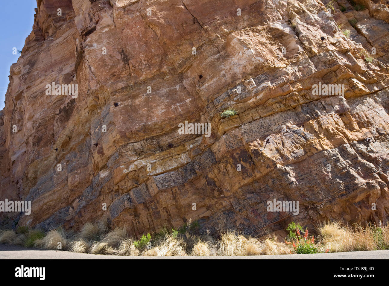 Middle Proterozoic sedimentary rocks geology layer Stock Photo