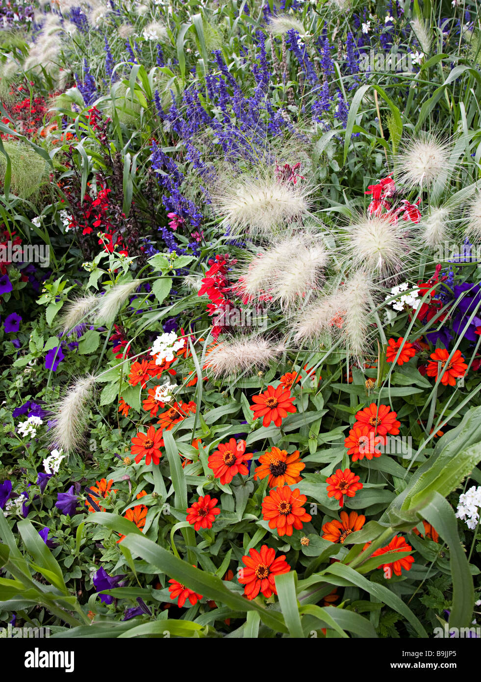 Mixed border hires stock photography and images Alamy