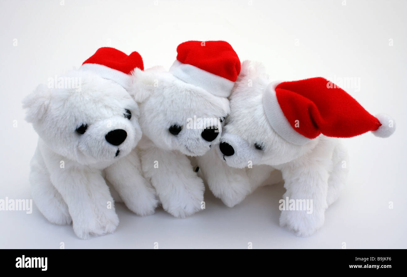 Polar bear soft cuddly toy hi-res stock photography and images - Alamy