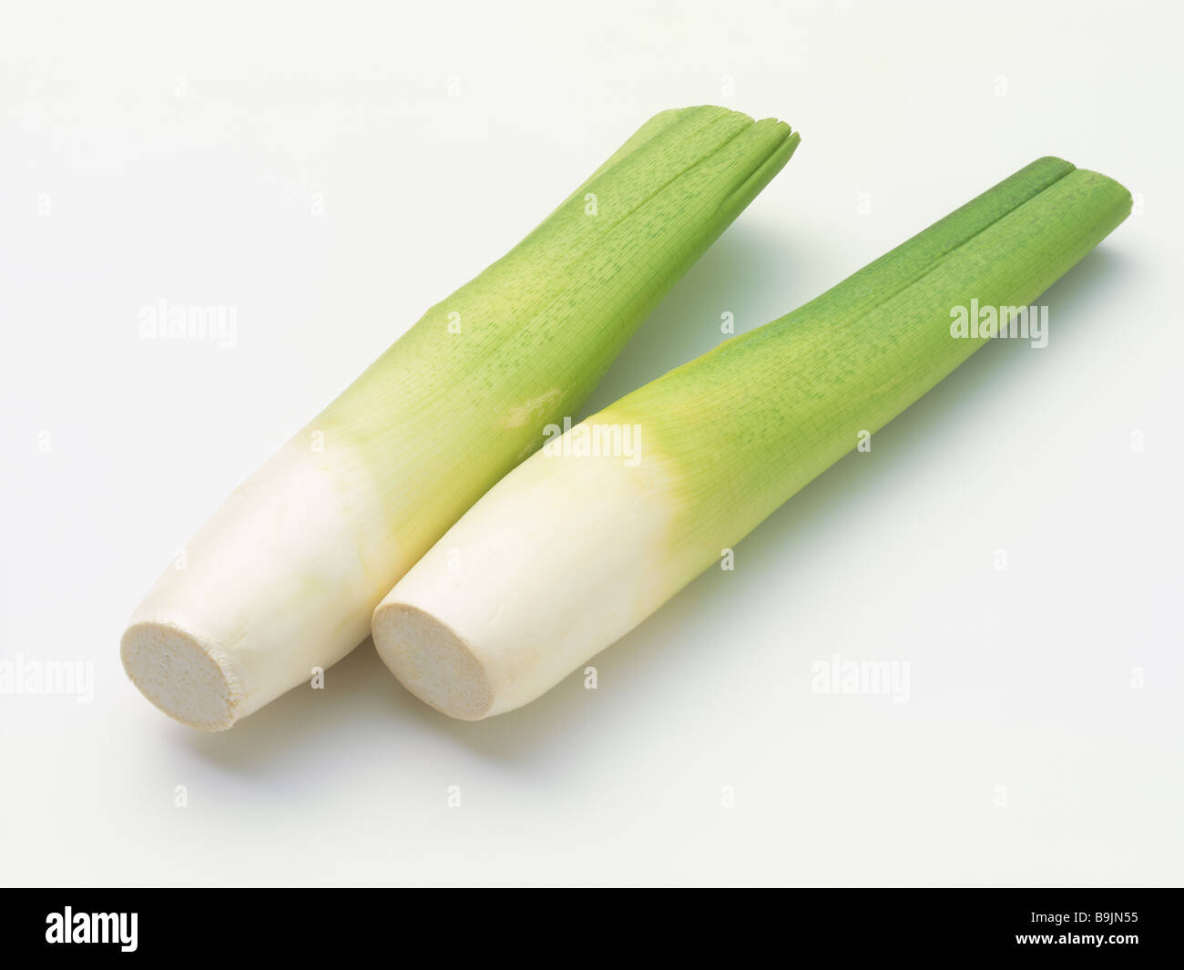 Sprout of manchurian wild rice Stock Photo - Alamy