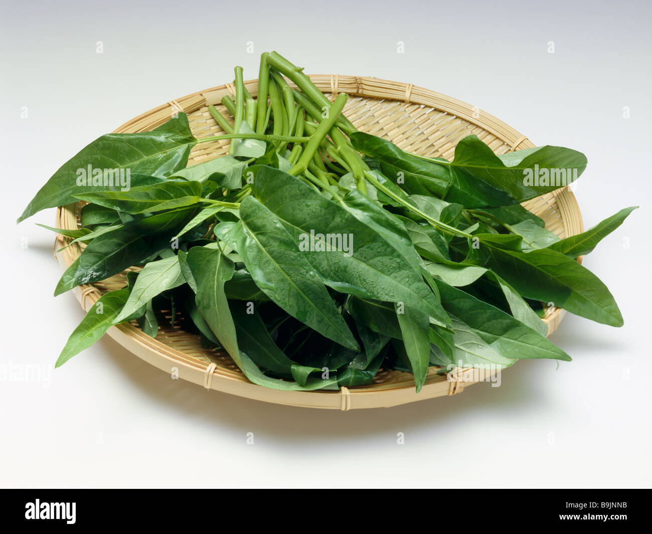 Water spinach Stock Photo
