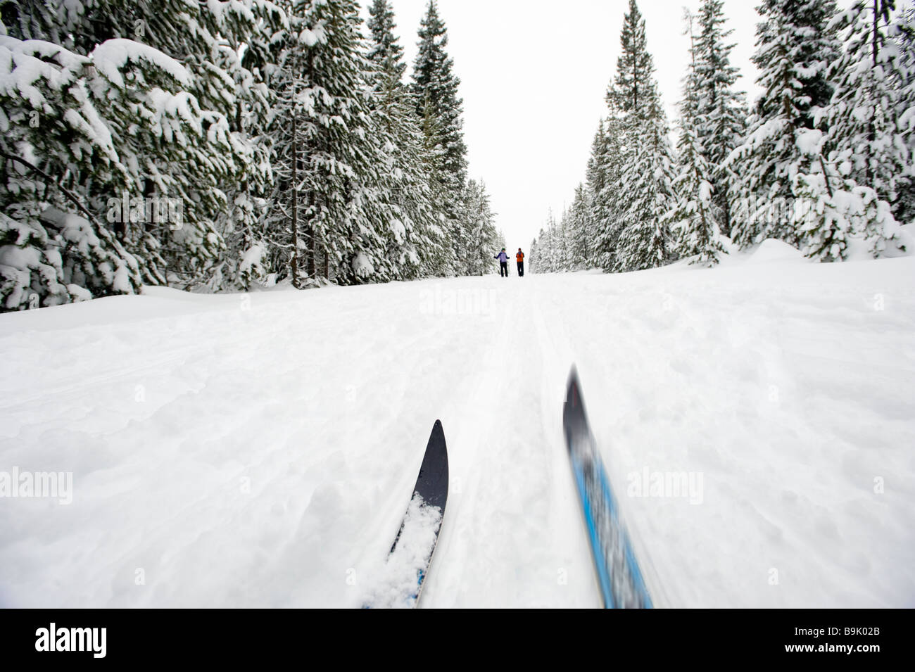 Low angle view of cross country ski tips and two young women nordic