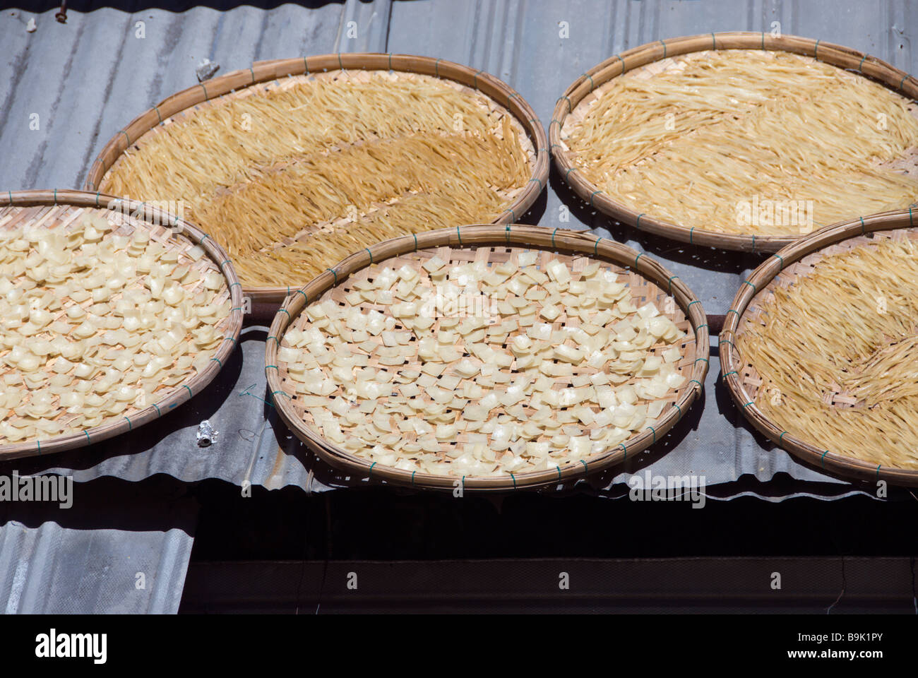 Rice noodles dry in flat baskets on a rooftop at Hoi An, in Quang Nam