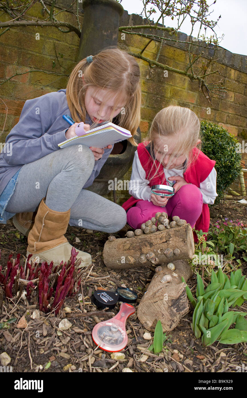 Children looking at snails and bugs Stock Photo Alamy