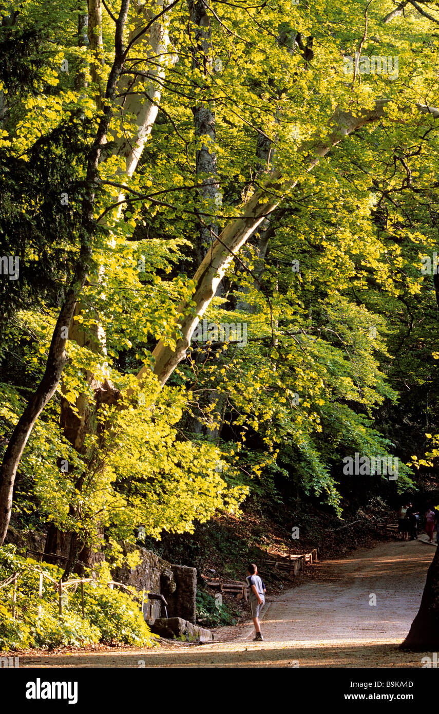 France, Var, the Massif de la Sainte Baume (the Sainte Baume mountain