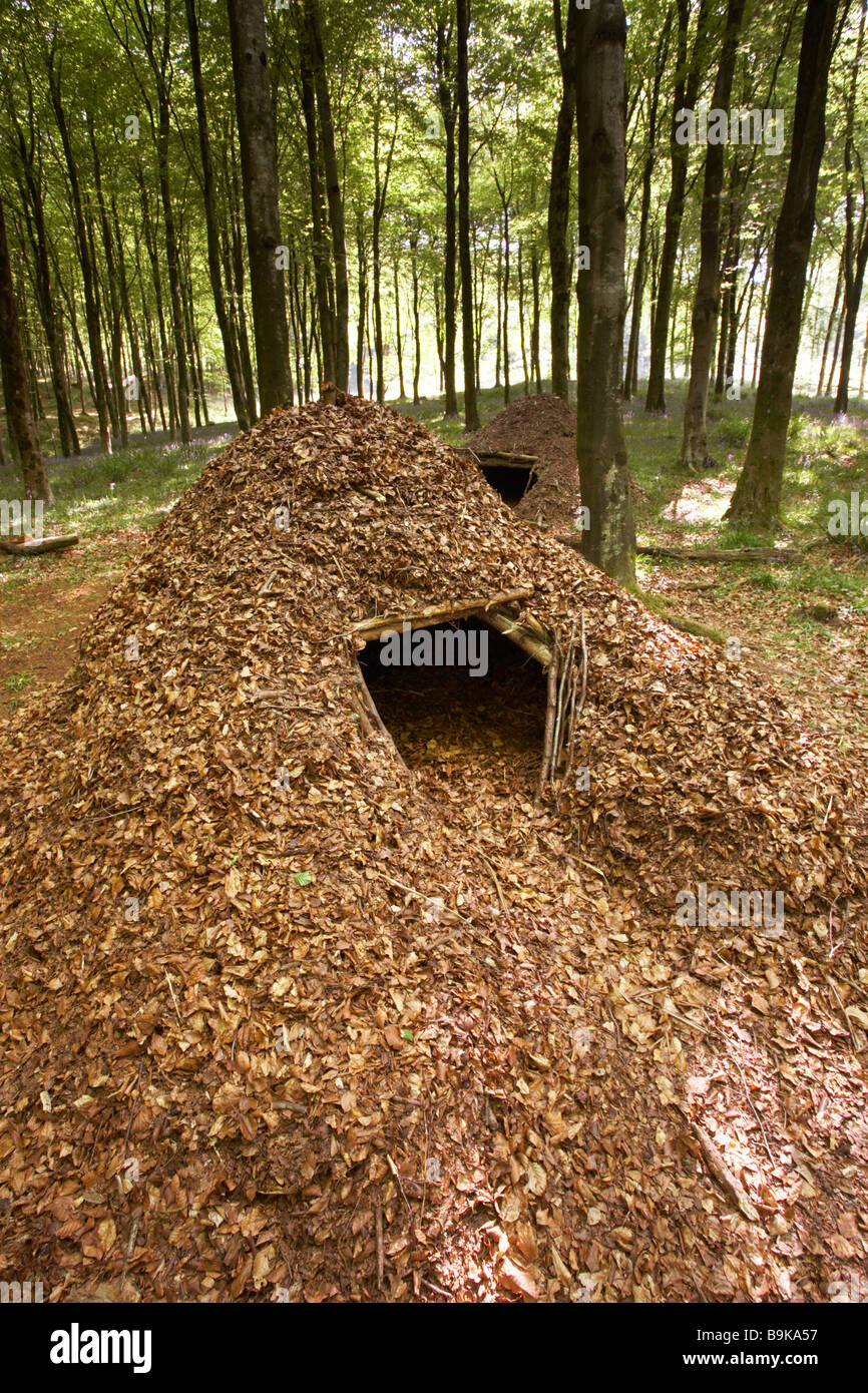 Leaf shelter in Dorset woods, England, UK Stock Photo - Alamy