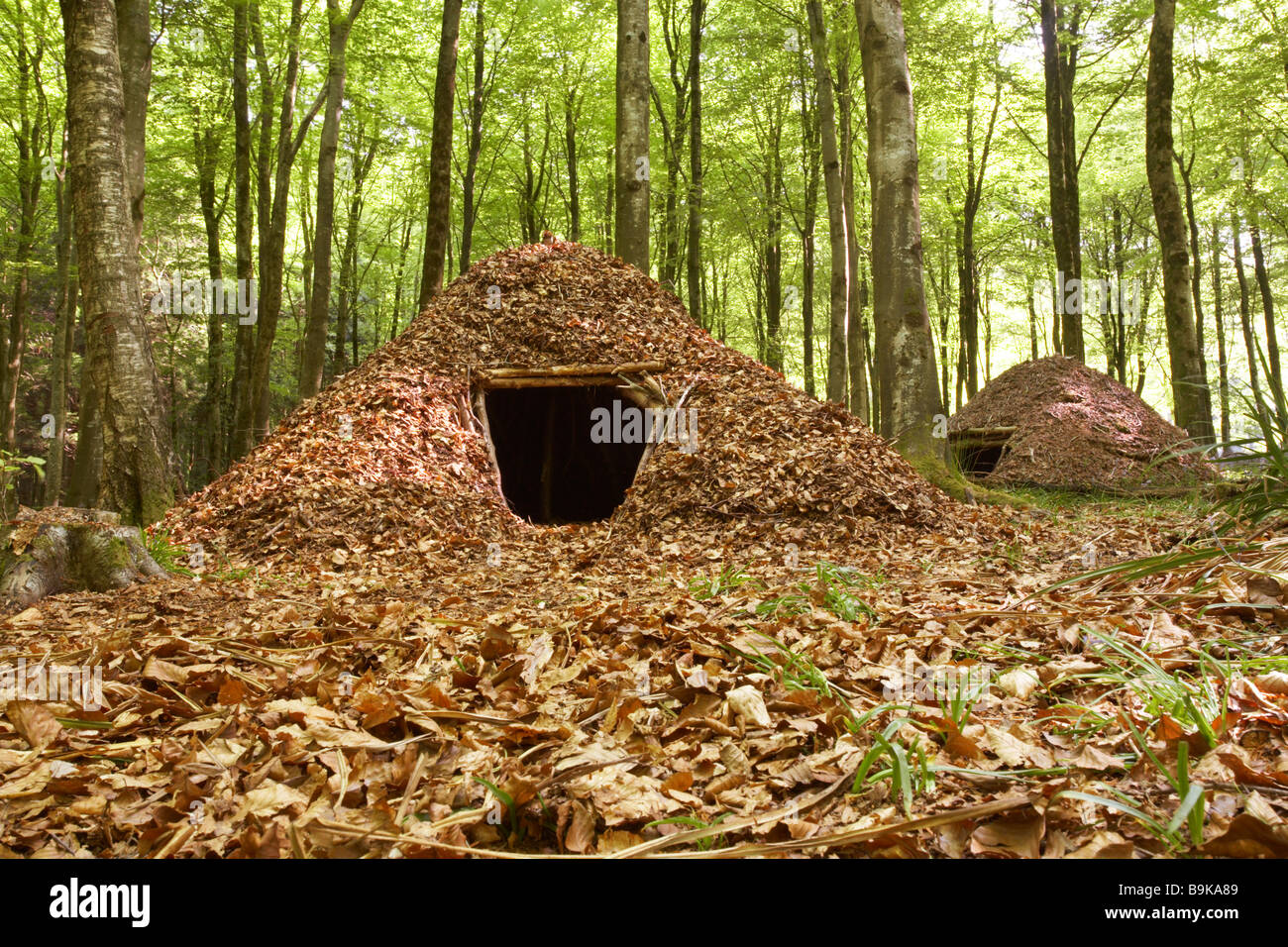 Leaf shelter in Dorset woods, England, UK Stock Photo