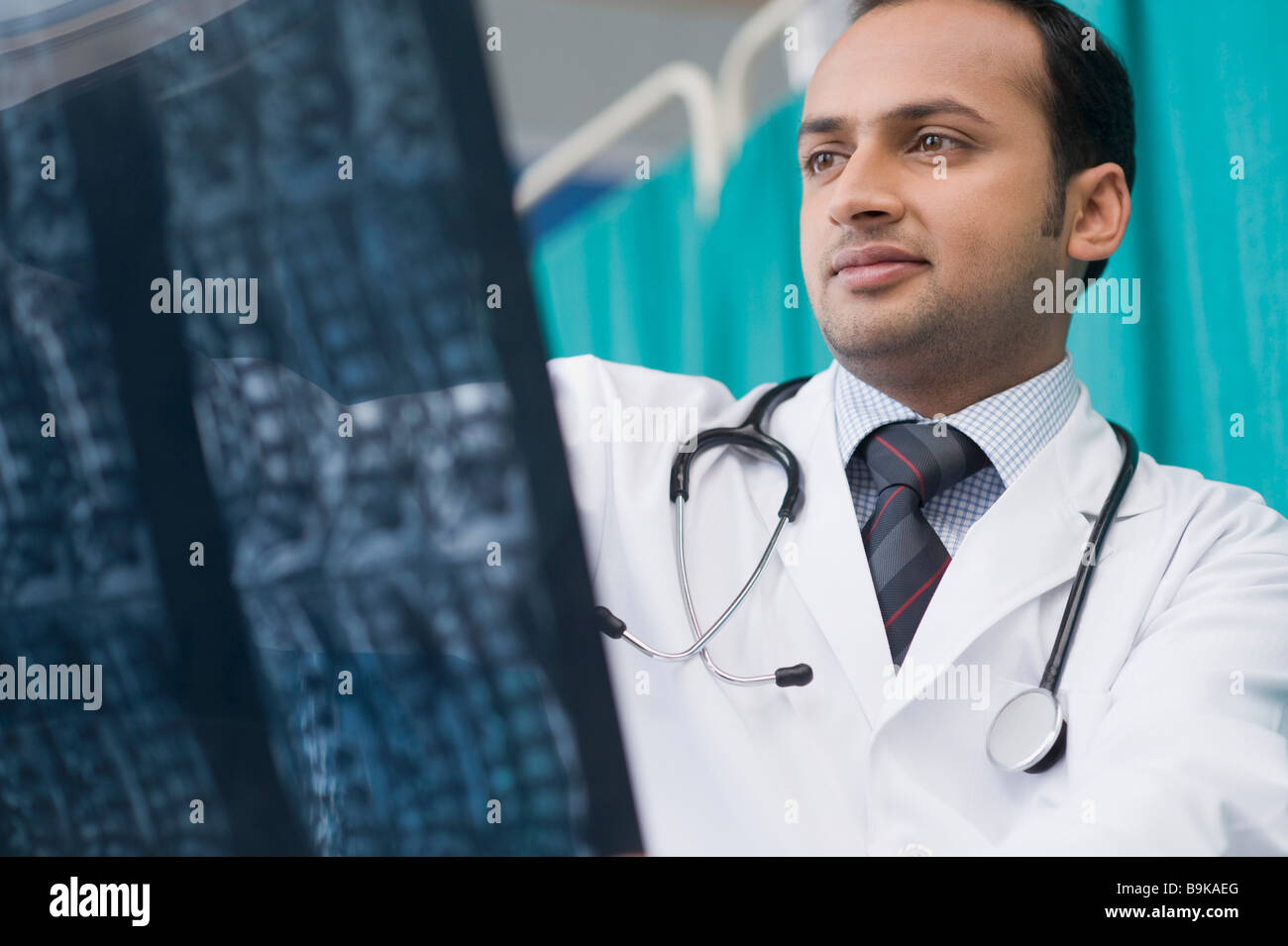 Doctor examining an x-ray report Stock Photo