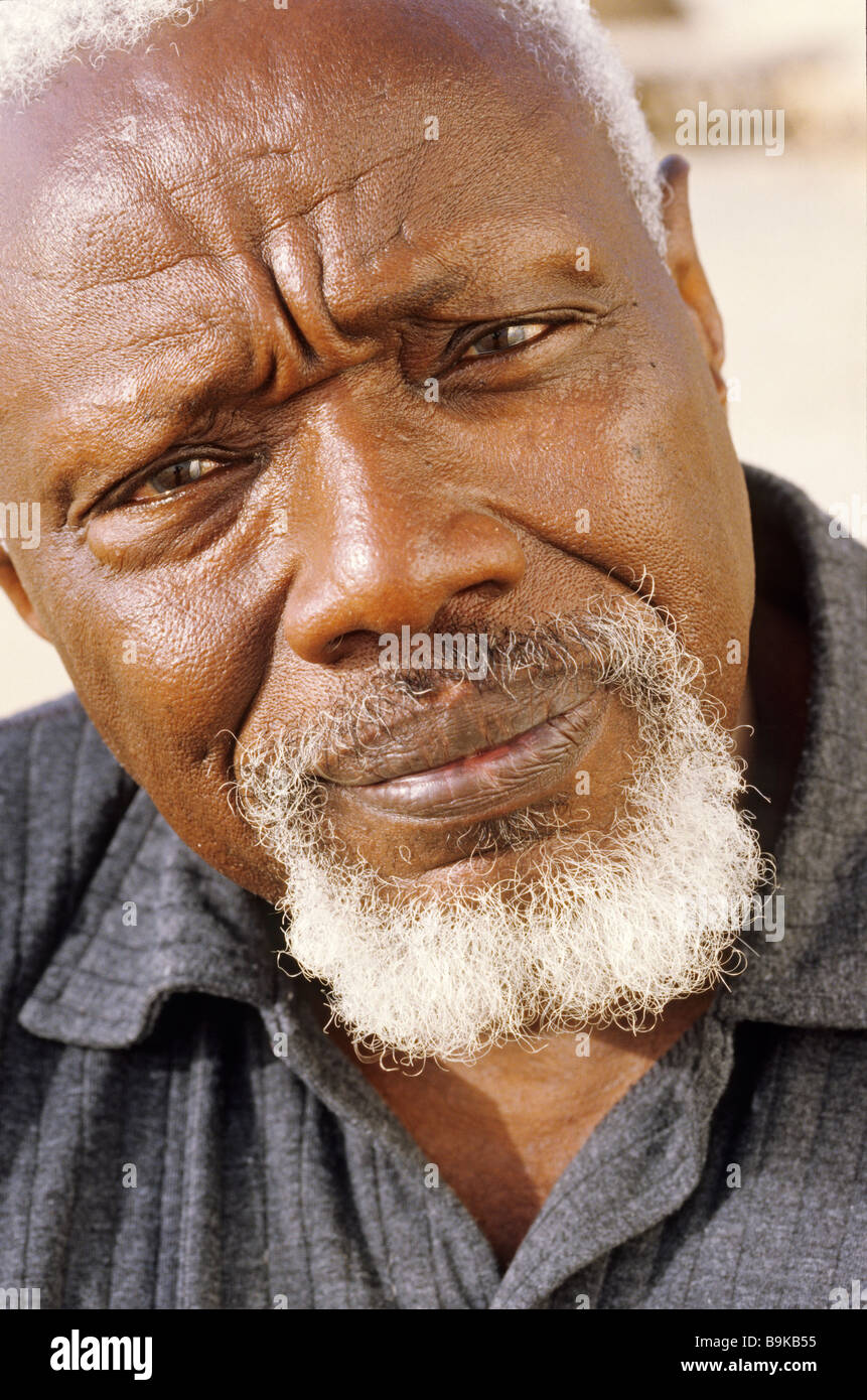 Senegal, sculptor Ousmane Sow Stock Photo