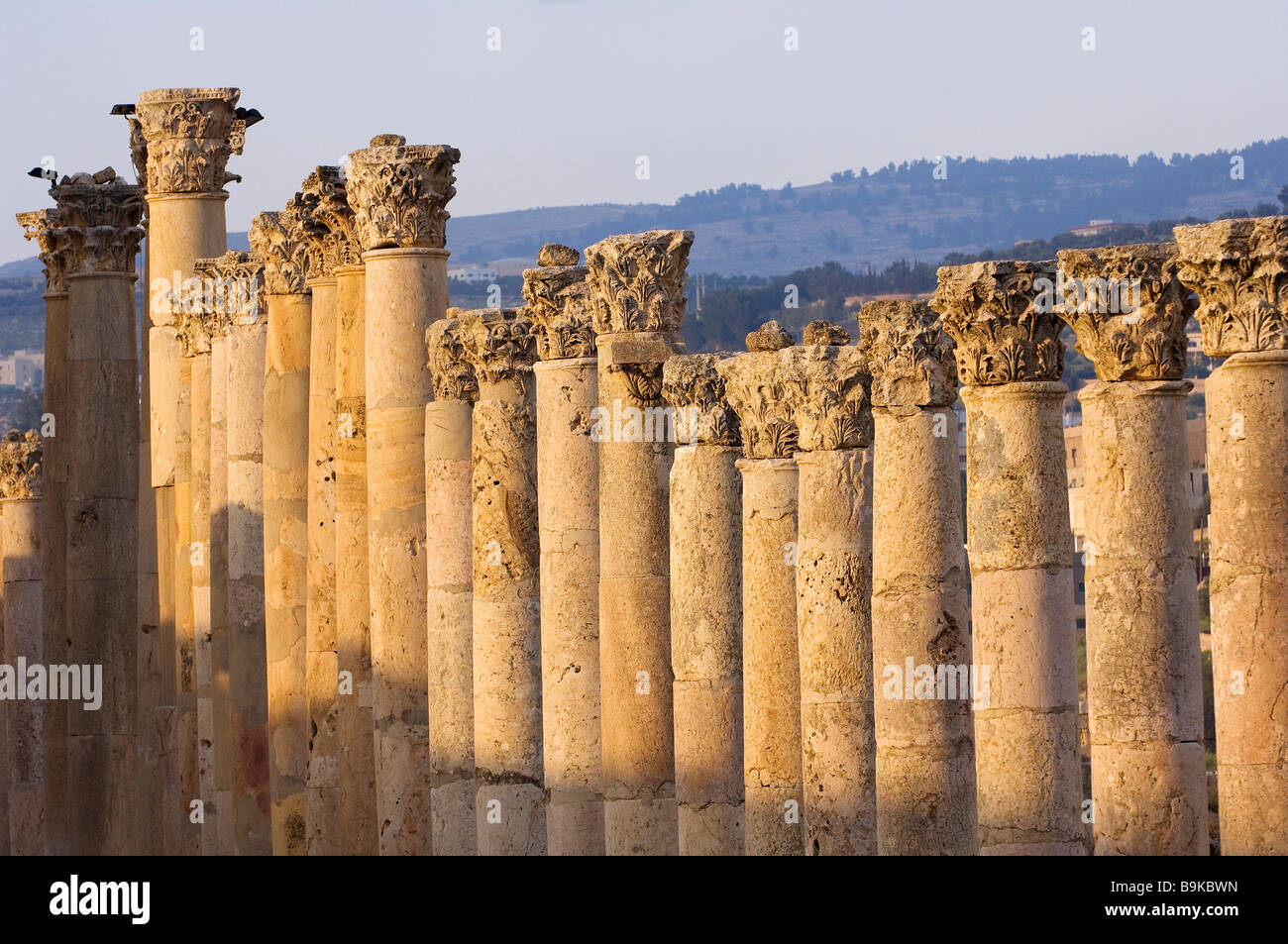 Jordan, Jerash Governorate, antique site of Jerash, Cardo Maximus, Corinthian columns with acantus leaves Stock Photo