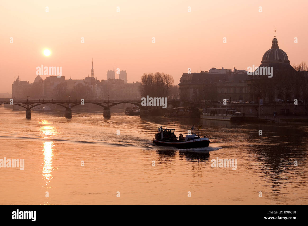 France, Paris, banks of the Seine river classified as World Heritage by UNESCO, Ile de la Cite (City island), the Institute of Stock Photo