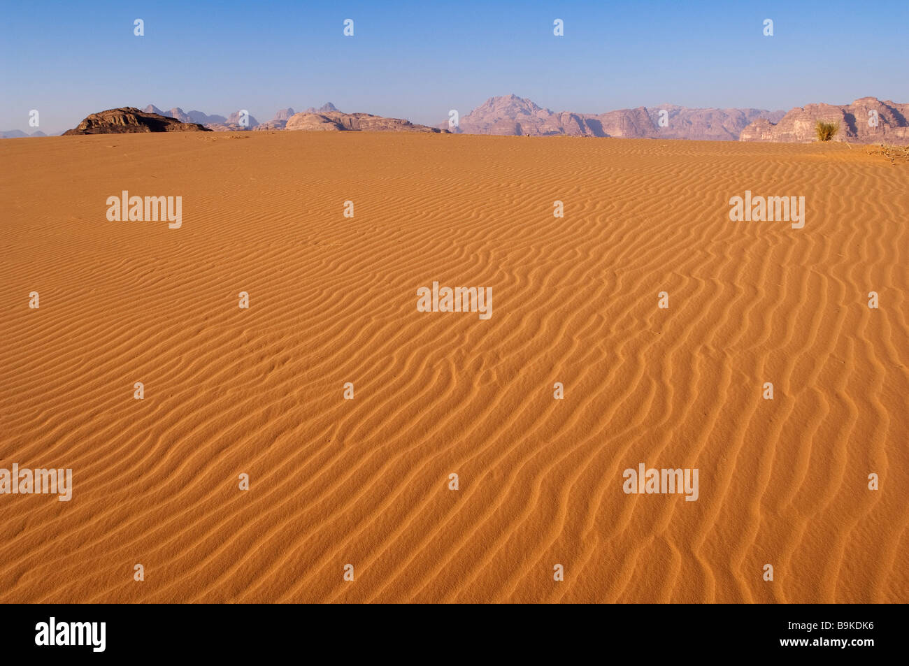 Jordan, Wadi Rum, sand ripple marks Stock Photo