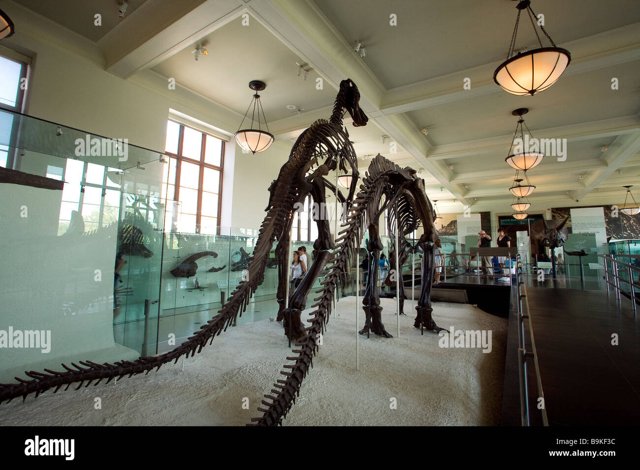 State museum for prehistory hi-res stock photography and images - Alamy