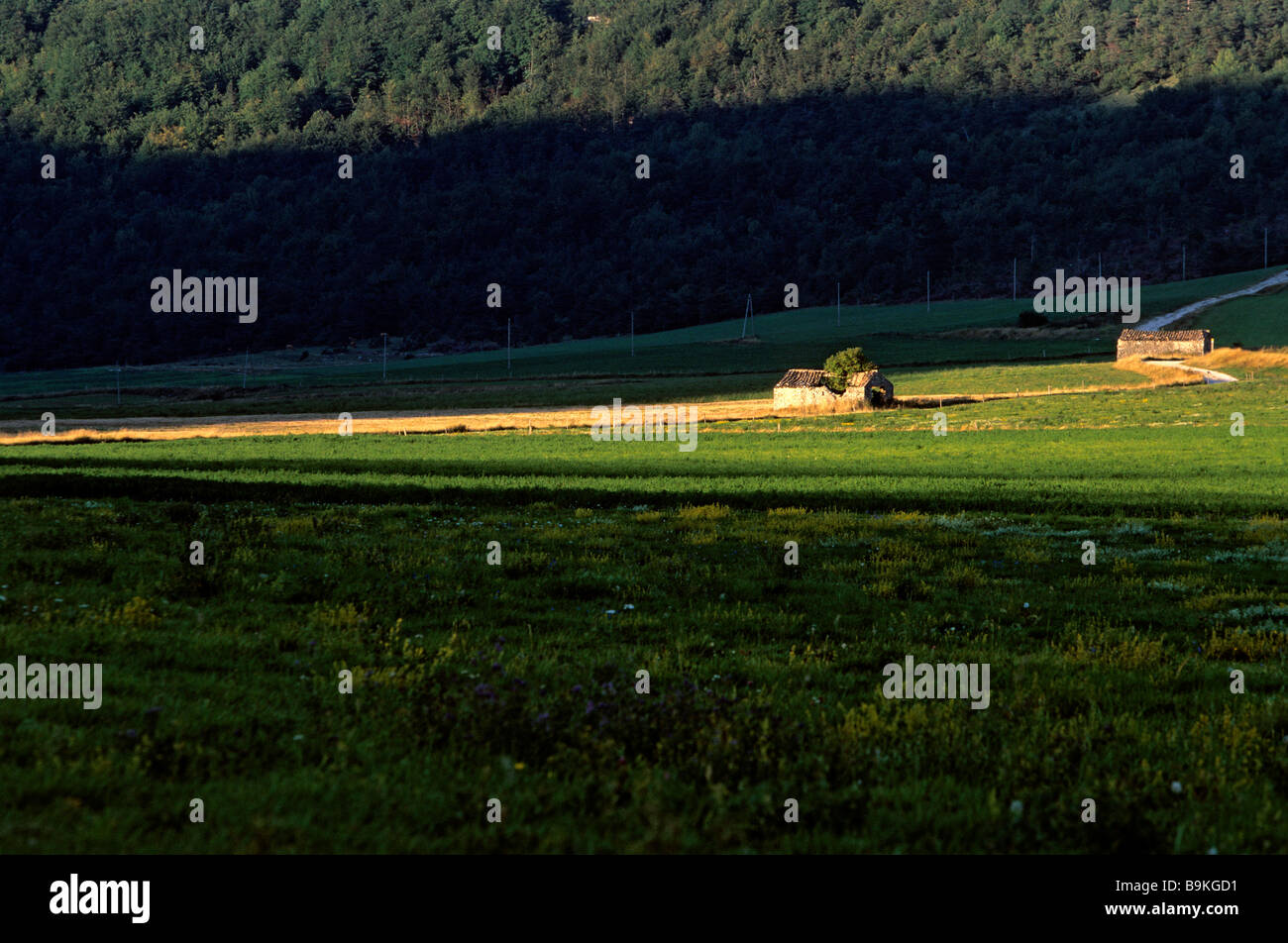 France, Drome, landscape near Leoncel Stock Photo