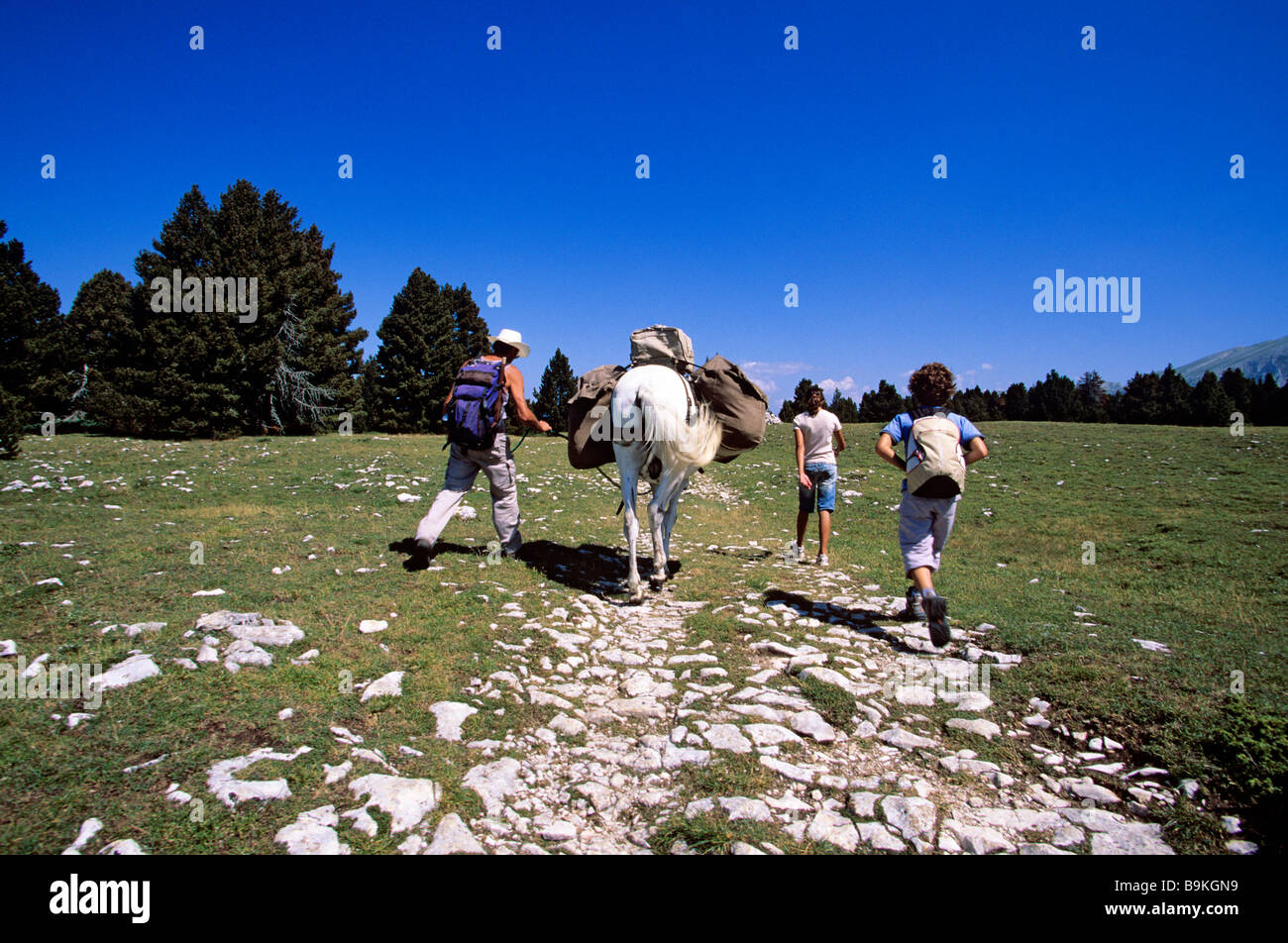 France, Drome, Hauts plateaux du Vercors nature reserve, hicking with Les muletiers / G. Blanc, near Combe Male sheepfold Stock Photo