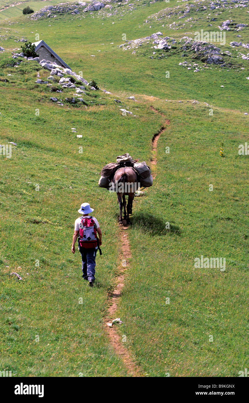 France, Drome, Hauts plateaux du Vercors nature reserve, hicking with Les muletiers / G. Blanc, at the bottom of Grand Veymont Stock Photo