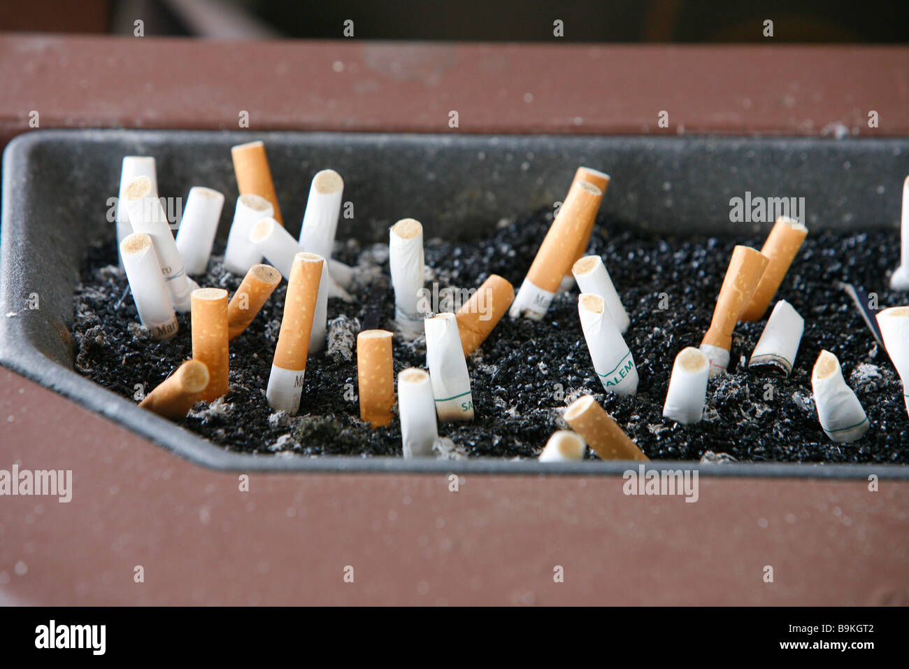 Cigarette butts in ashtray smoking nicotine cigar Stock Photo