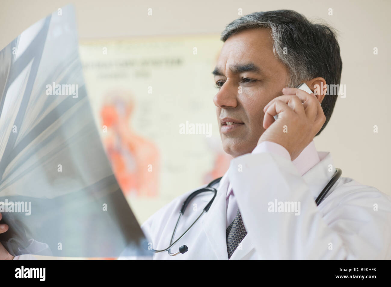 Doctor examining an x-ray and talking on a mobile phone Stock Photo