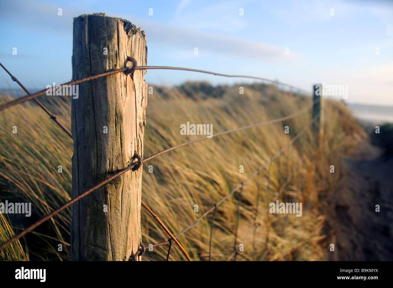 Fence posts at Northam Burrows in Devon Stock Photo