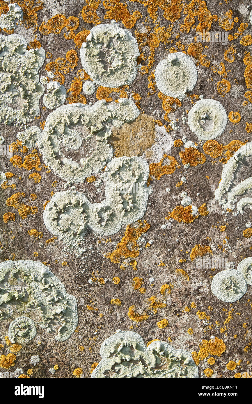 Lichen Gravestone High Resolution Stock Photography and Images - Alamy