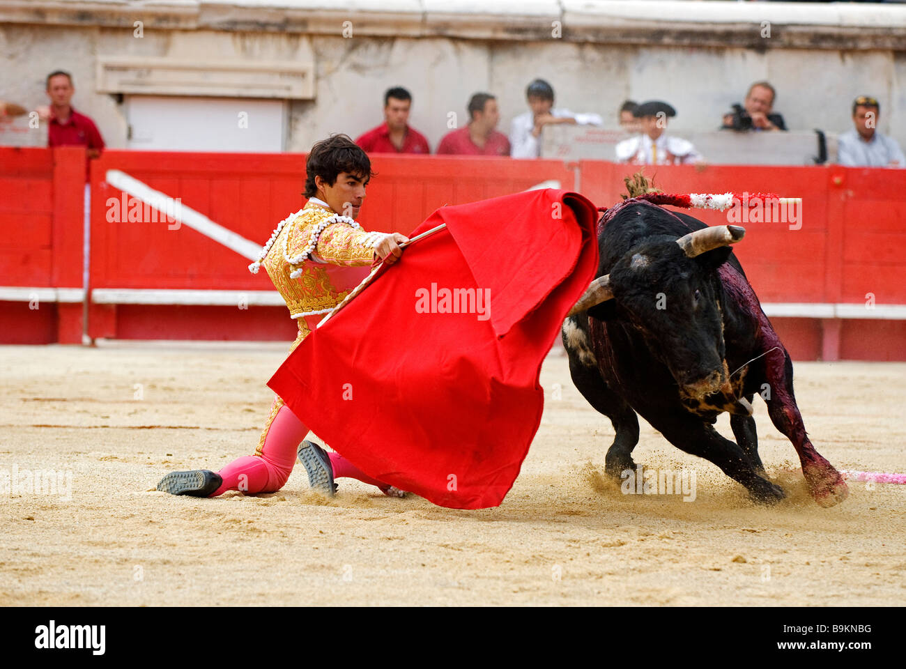 France, Gard, Nimes, spanish bullfighter Domingo Lopez-Chaves ...