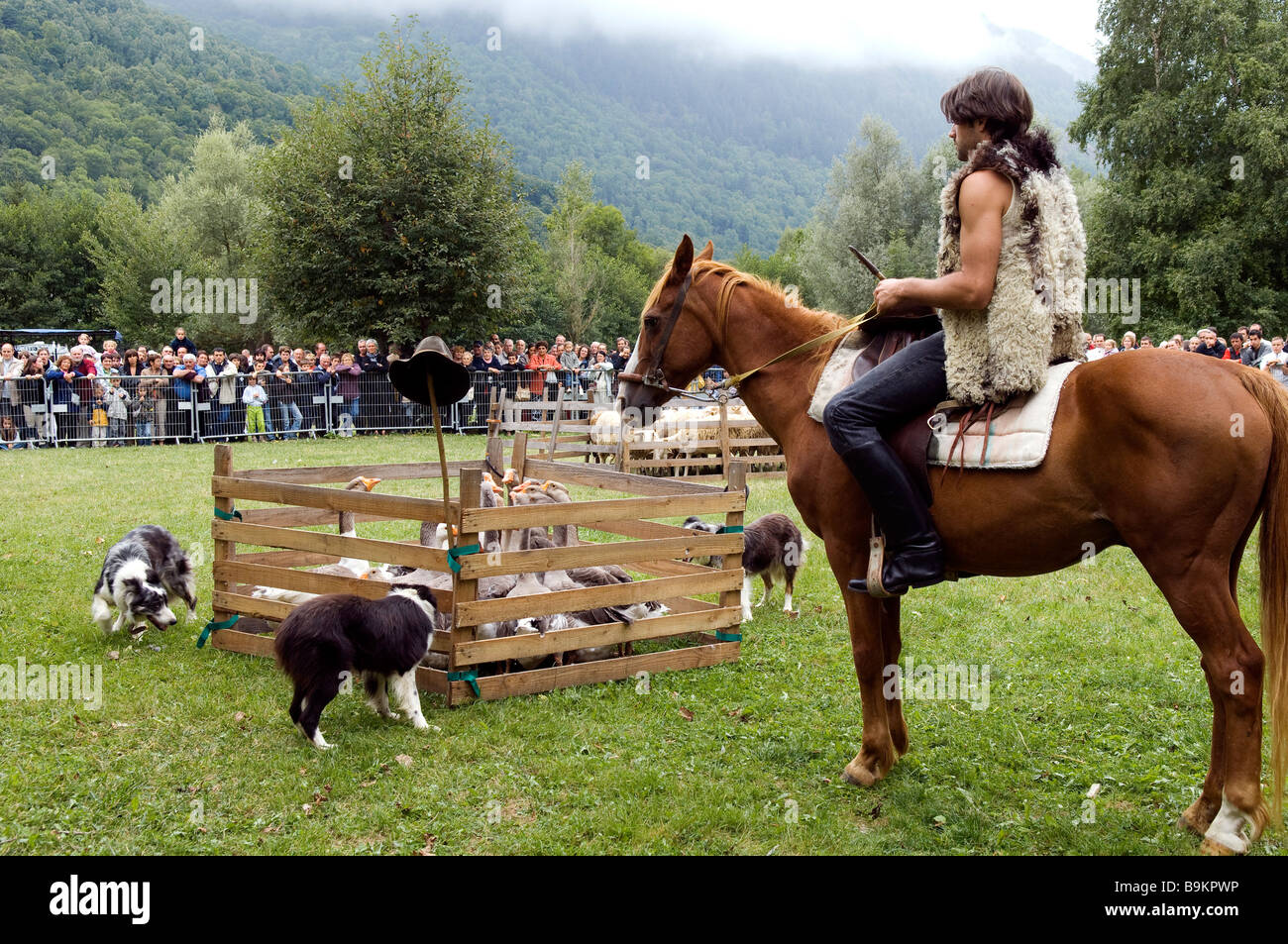 Riding a goose hi-res stock photography and images - Alamy