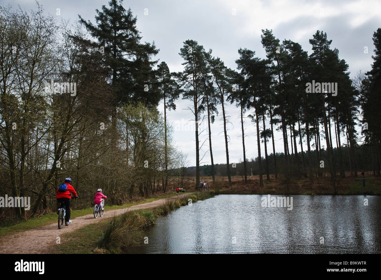 Mother and daughter cycling beside a pond at Fairoak Valley, Cannock Chase Stock Photo