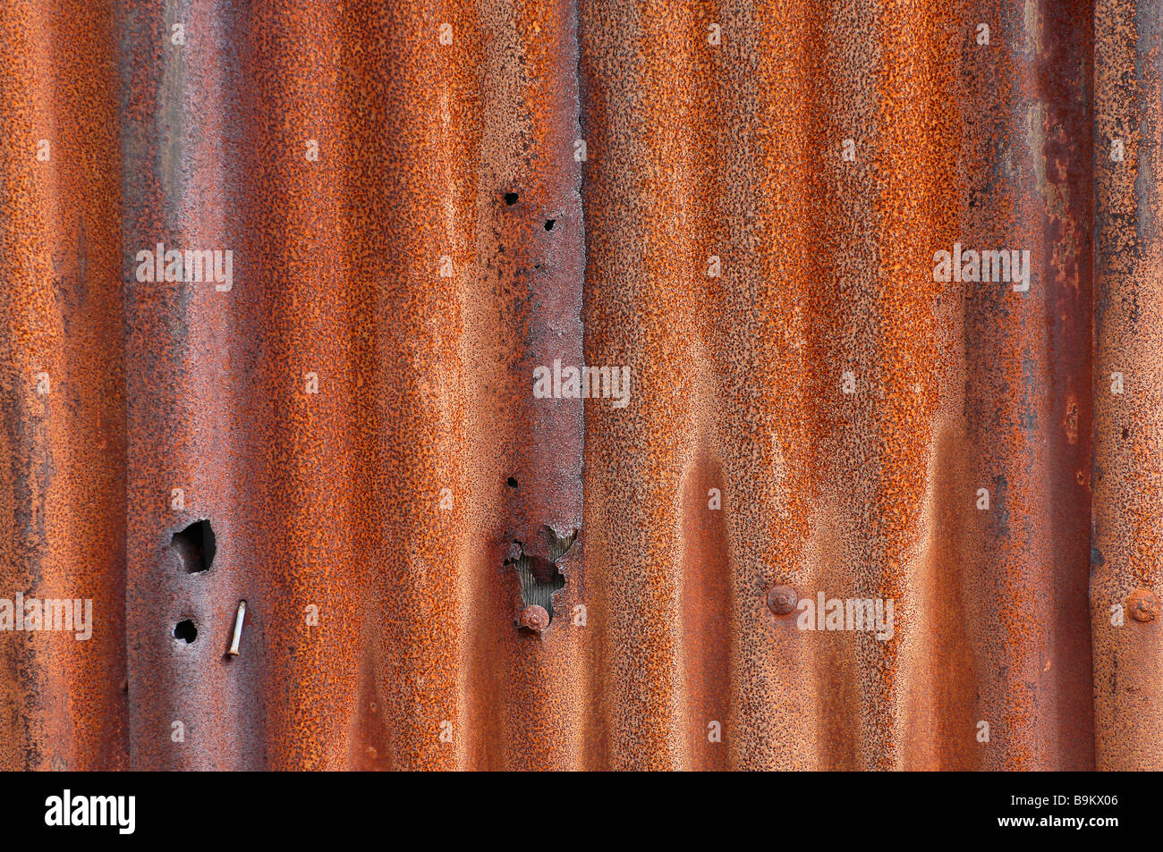 rust corrugated iron rusty detail of red textures and showing the undulations in the metal creating an abstract background Stock Photo