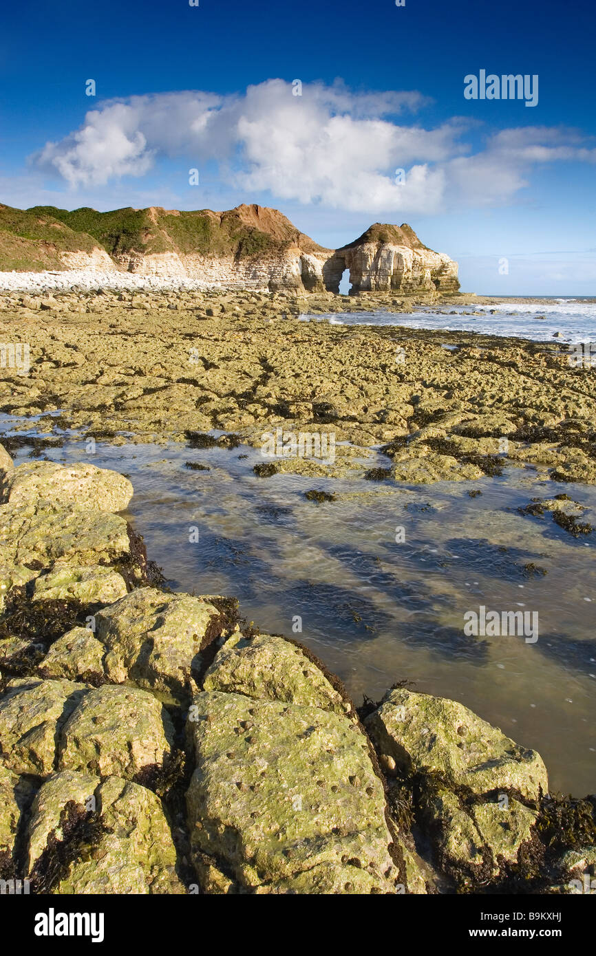 Early morning at Thornwick Bay on the Flamborough Headland Heritage Coast East Riding of Yorkshire England Great Britain Stock Photo
