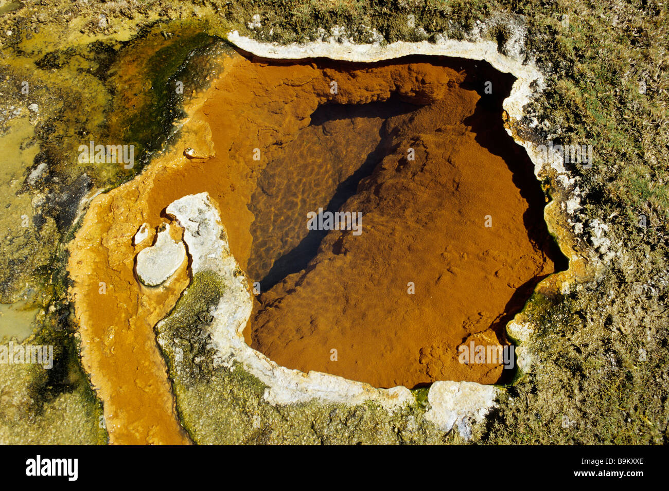 Bolivia, Oruro department, Sajama province, Sajama National Park, hot water with iron oxyd Stock Photo