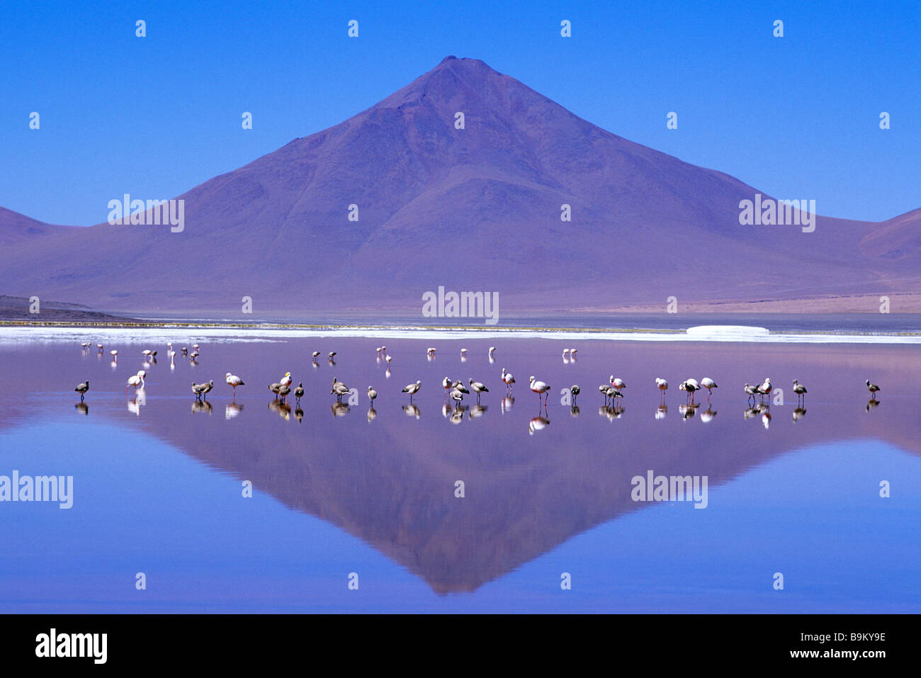 Andean mountain blue pink hi-res stock photography and images - Alamy