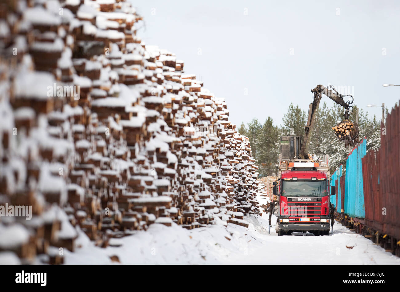 Loading logs from log truck to cargo log train at Winter at railroad