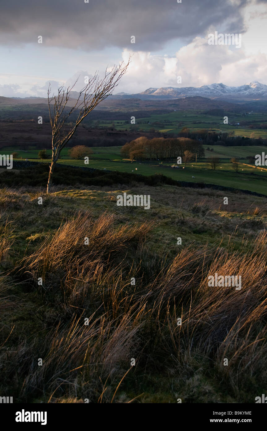 View of Coniston Fells from Lowick Common. Stock Photo