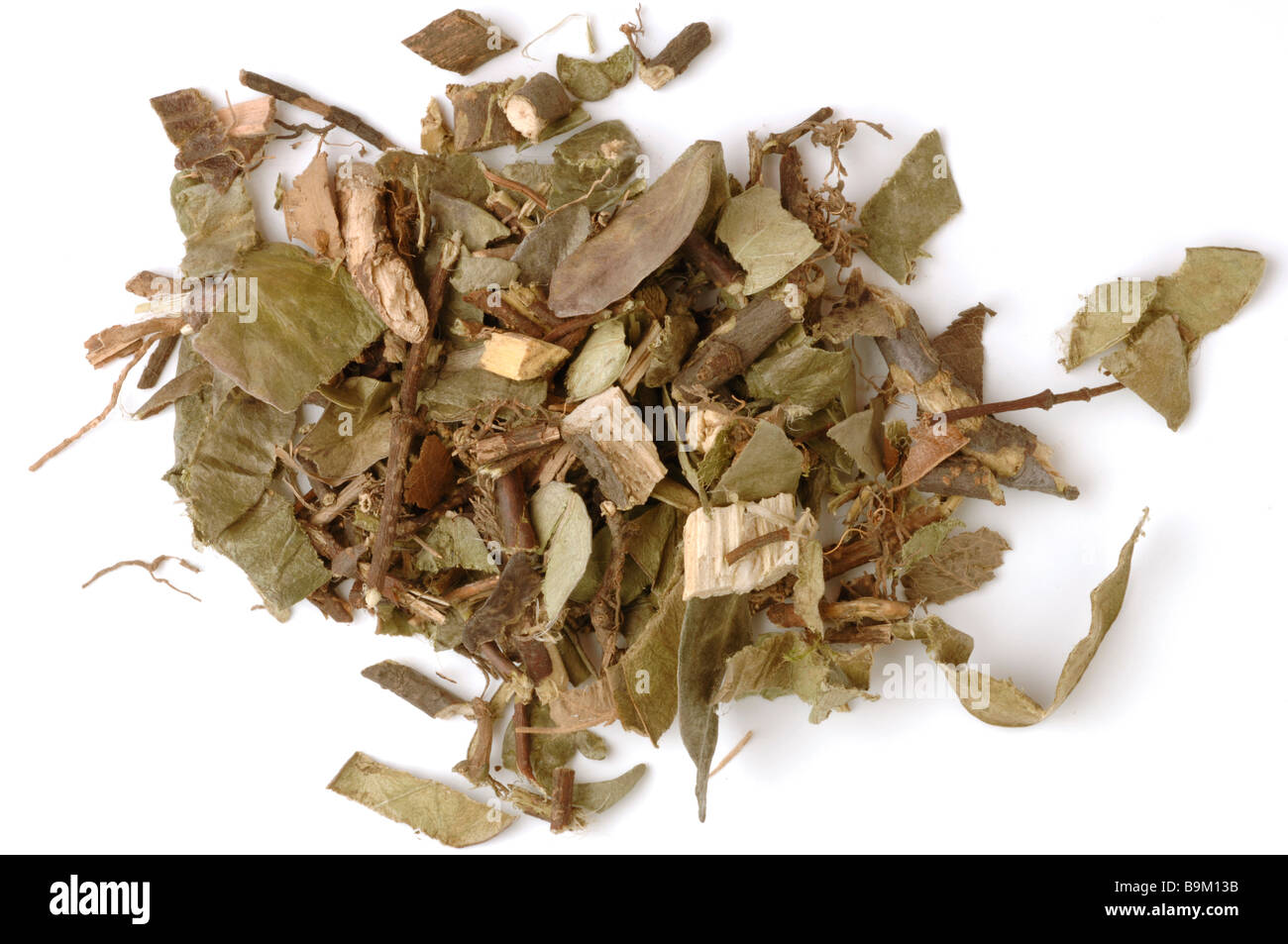 Dried herbs of medicinal plant Sternjasmin Chinese Star Jasmine Star Jasmine Trachelosperma jasminoides Stock Photo
