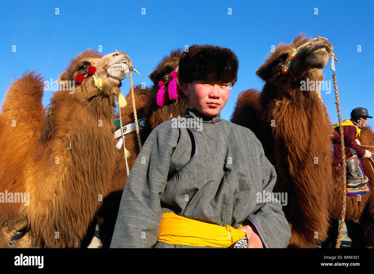 Mongolia, Omnogov Province, Gobi Desert, Moron village towards Dalanzadgad, Camel Festival, Mongolian New Year Stock Photo