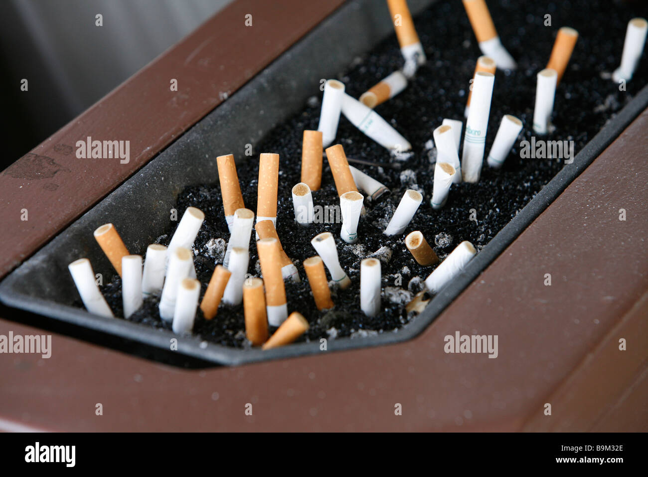 Cigarette butts in ash tray Stock Photo Alamy