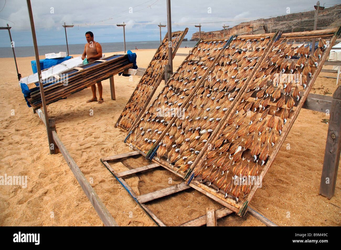 Net for drying fish hotsell
