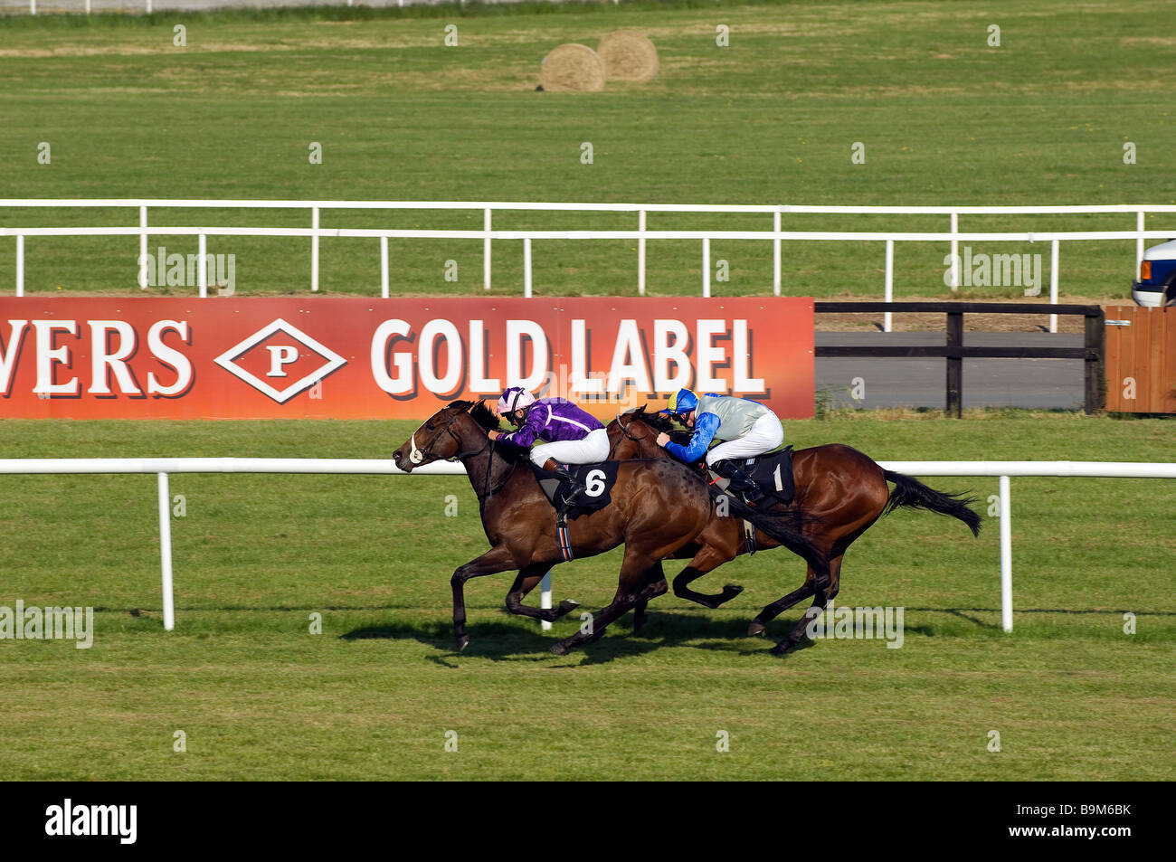 Ireland, County Meath, Ratoath, Fairyhouse racecourse, horse race Stock ...