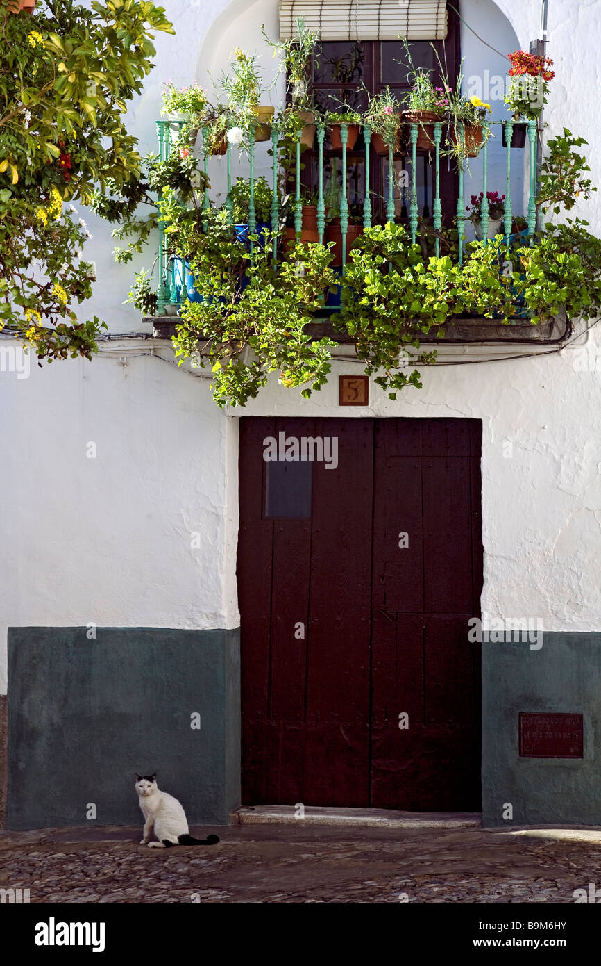 Spain, Andalucia, Huelva Province, Alajar village Stock Photo