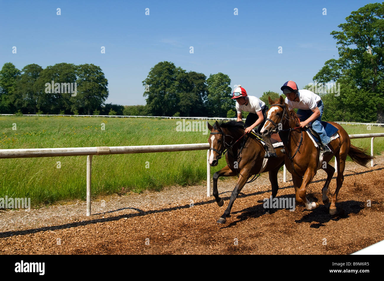 Ireland, County Kildare, Maynooth, Moyglare Stud, horse training Stock