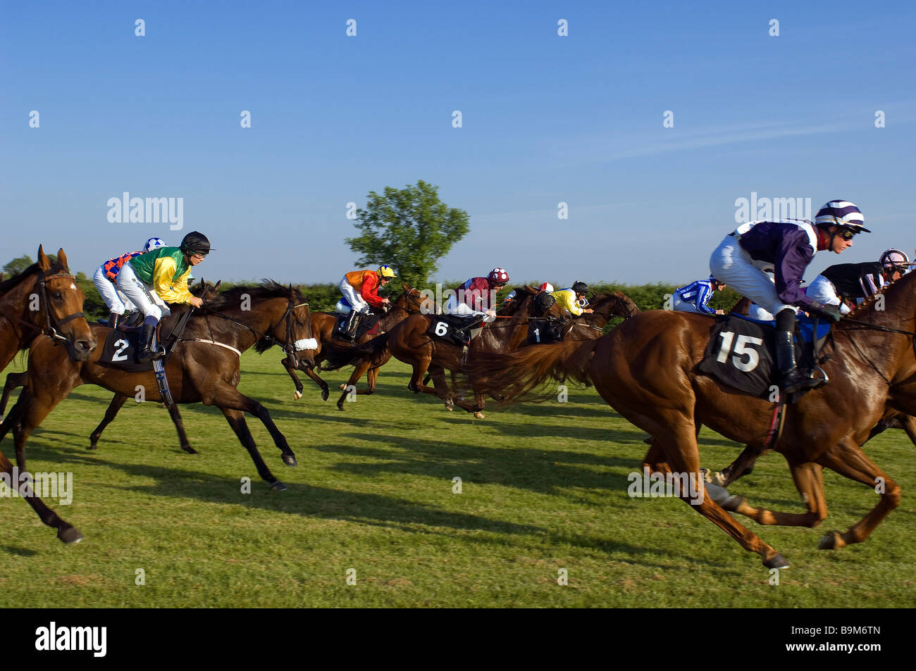 Ireland, County Meath, Ratoath, Fairyhouse racecourse, horse race Stock ...