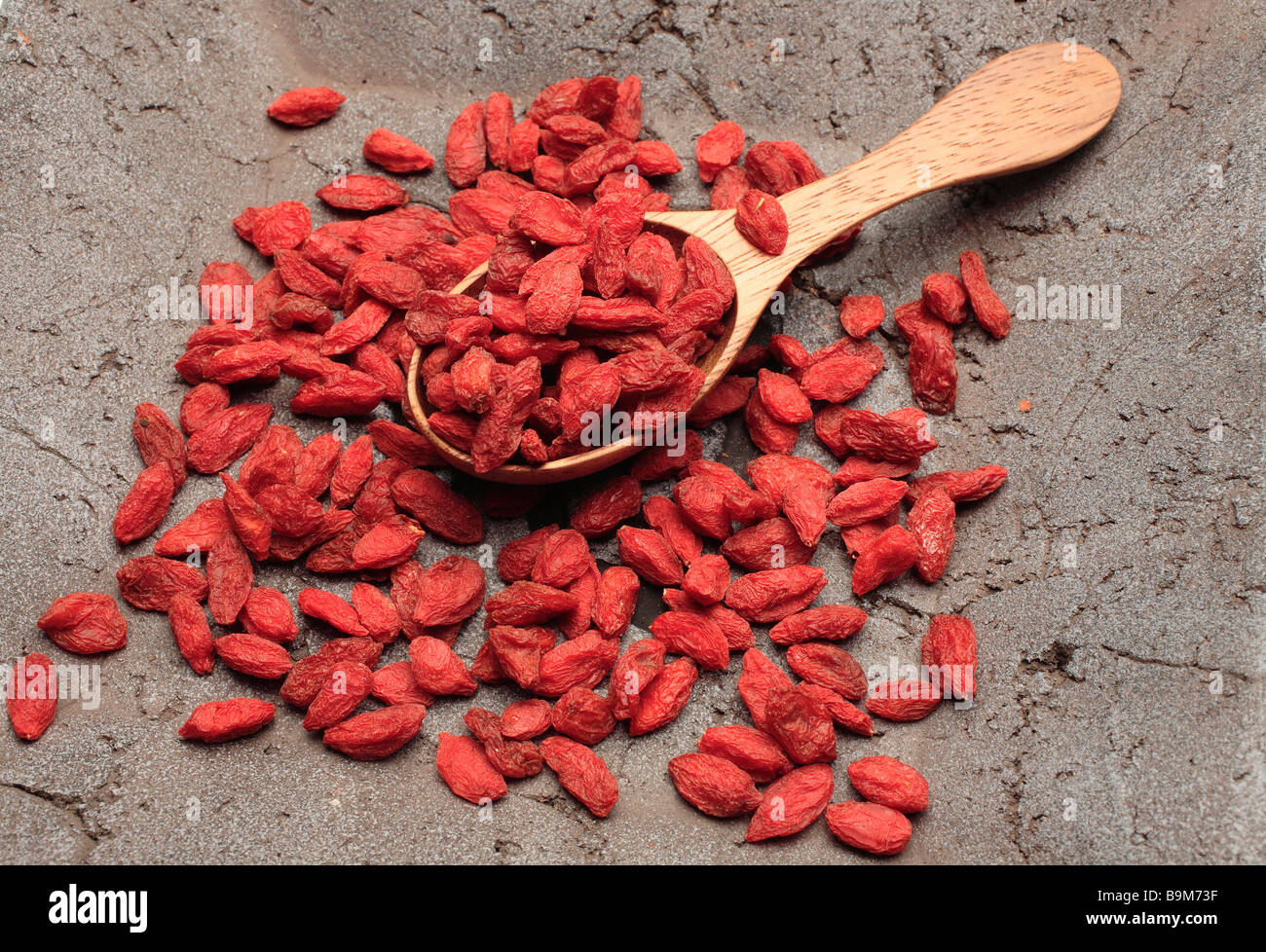 edible berry and medicinal plant Wolfberry or Western Snowberry Goji Berry Lycium barbarum Stock Photo