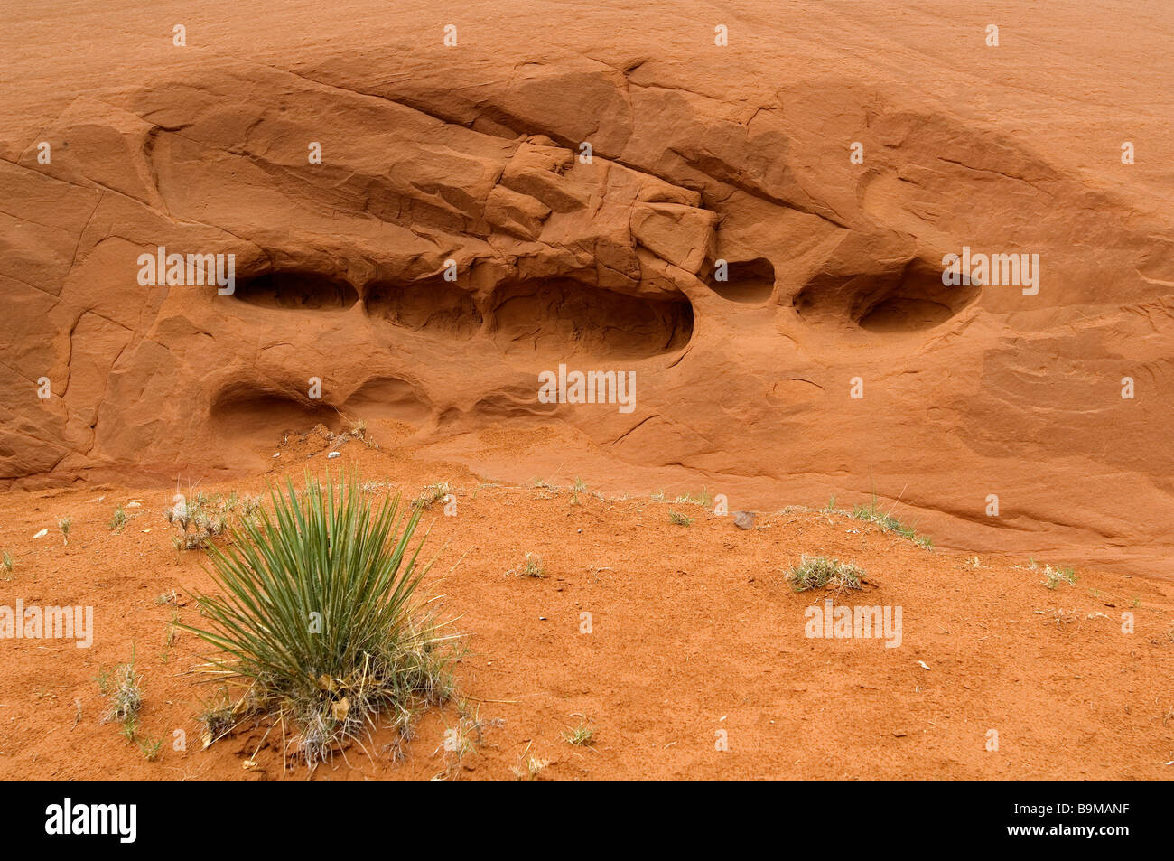 United States, Utah, Kodachrome Basin State Park Stock Photo