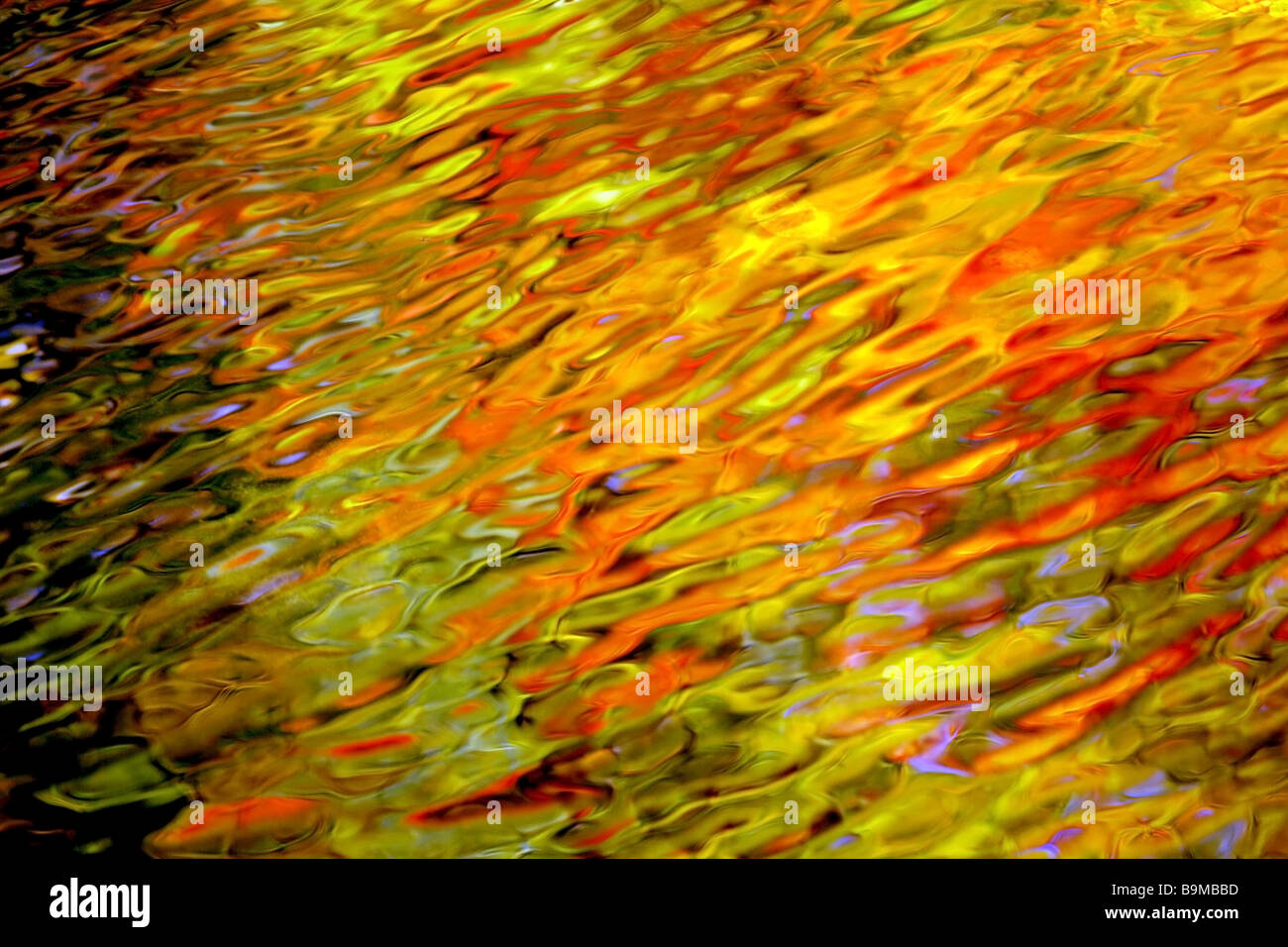 Reflection of Fall Colors in Water Stock Photo