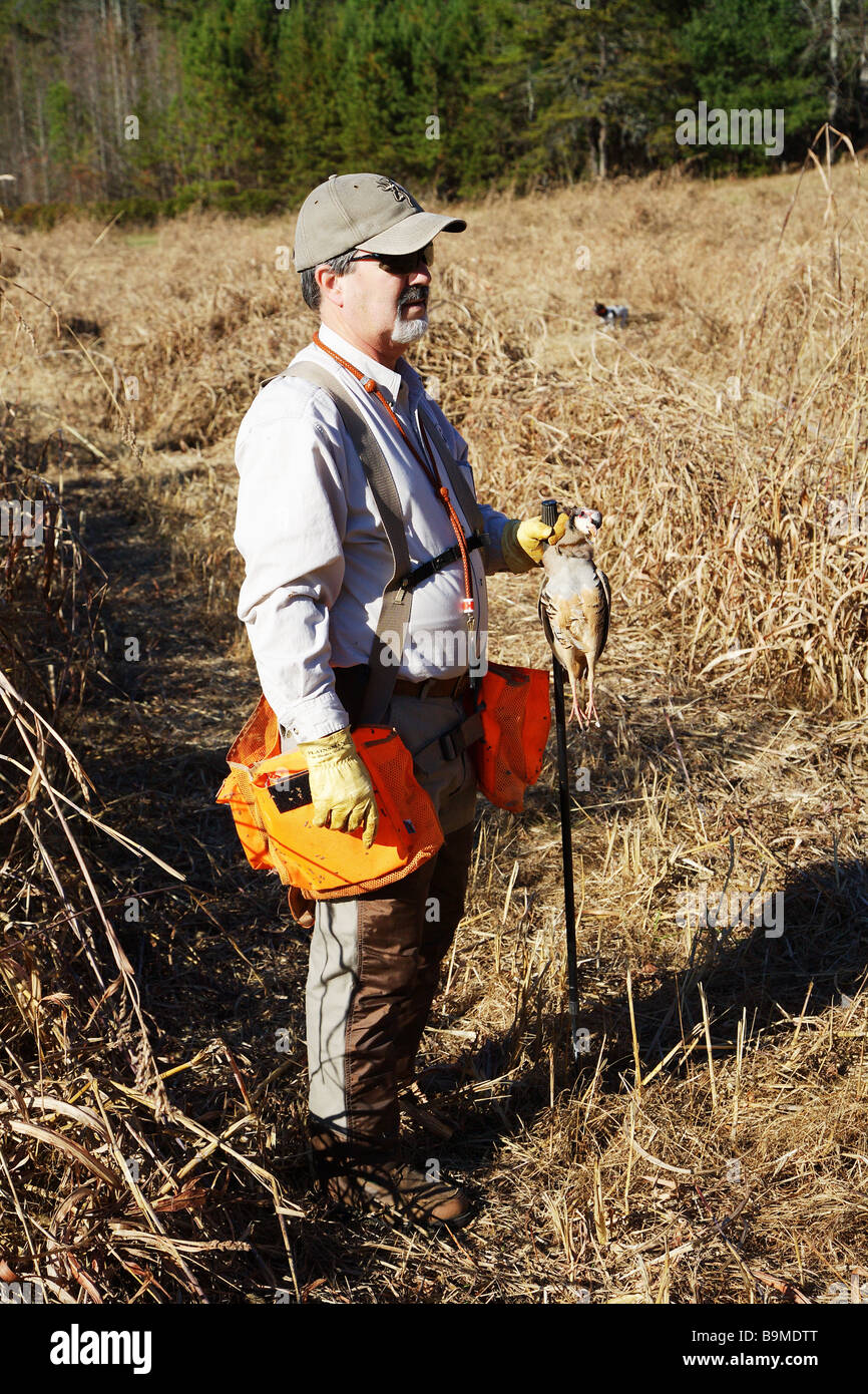 A hunting guide keeps an eye on the field as he holds a harvested Chukar game bird Stock Photo