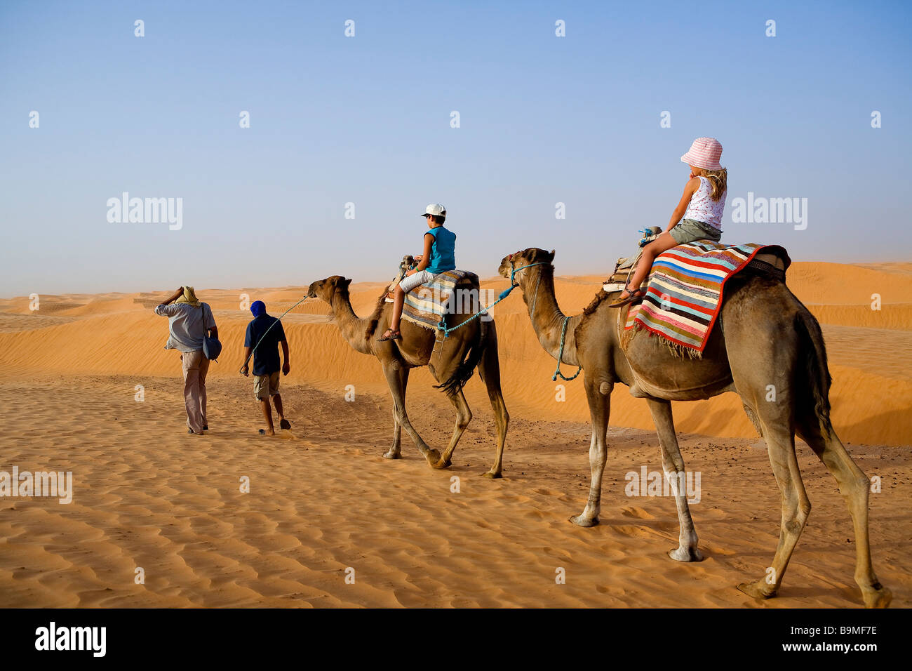 Tunisia, Southern Tunisia, Ksar Ghilane oasis, Dromadery ride in the sand dunes Stock Photo