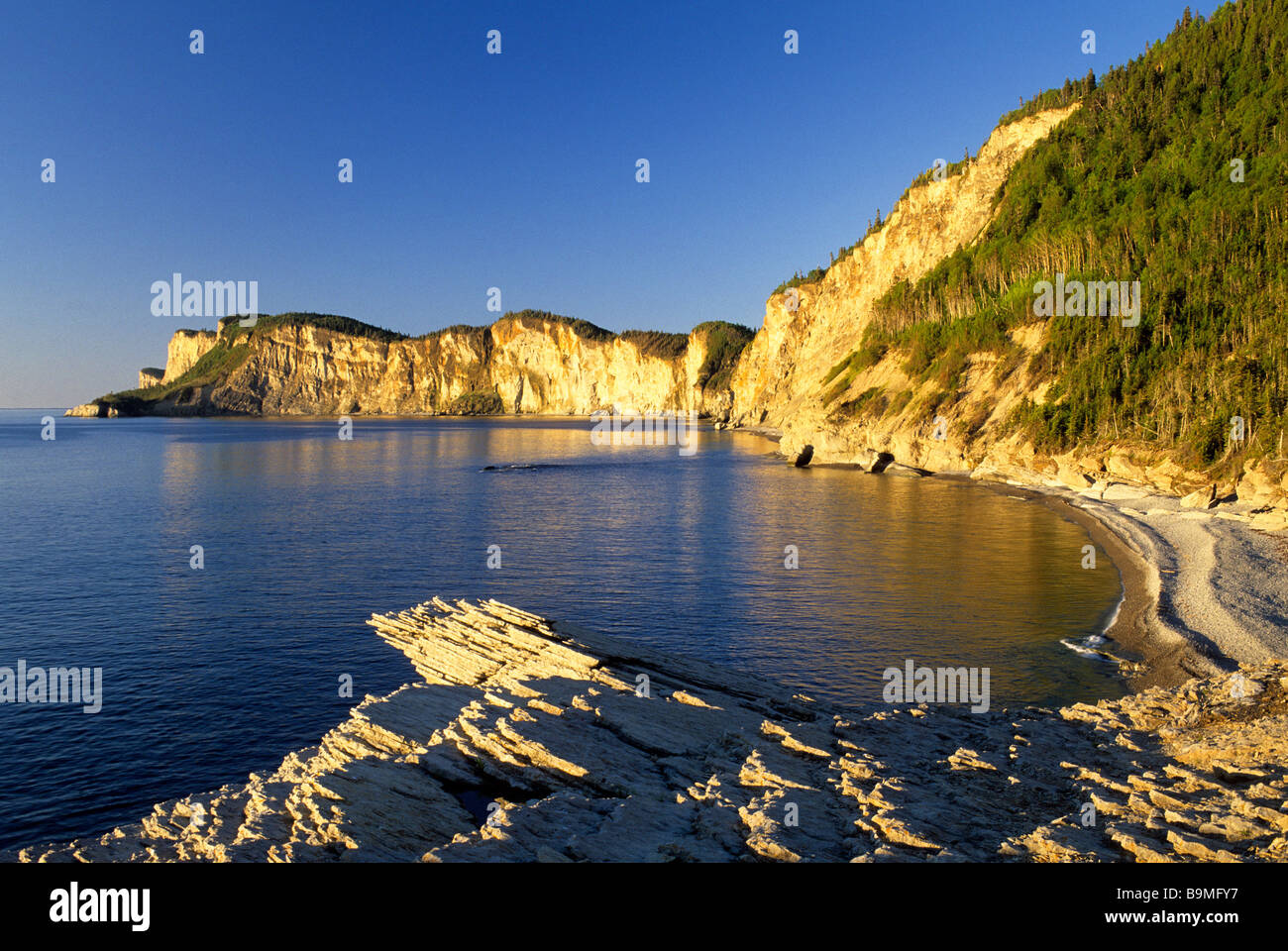 Canada, Quebec, Gaspesie, Forillon National Park, Cap Bon Ami Stock ...