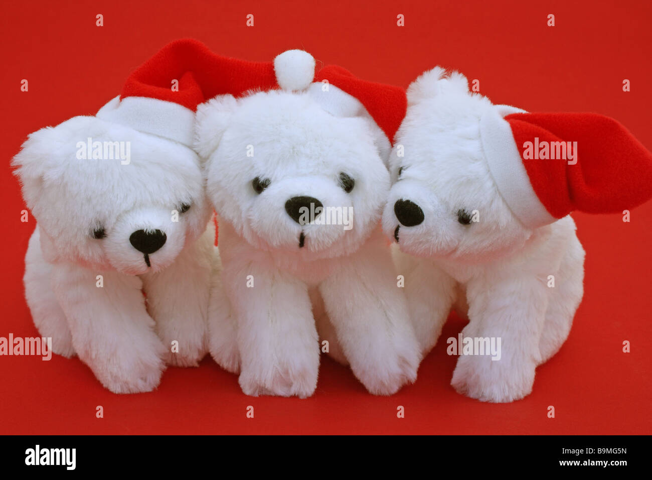 Polar bear soft cuddly toy hi-res stock photography and images - Alamy